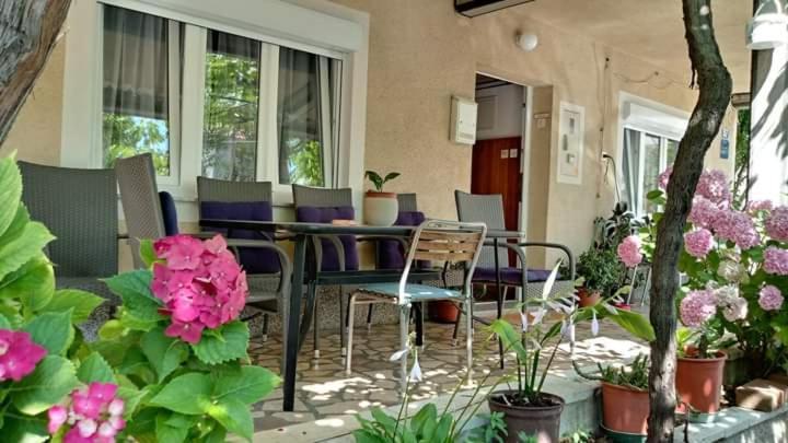 셀스 Apartman Paulina 아파트 외부 사진